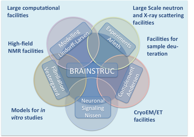 Brainstruc Consortium